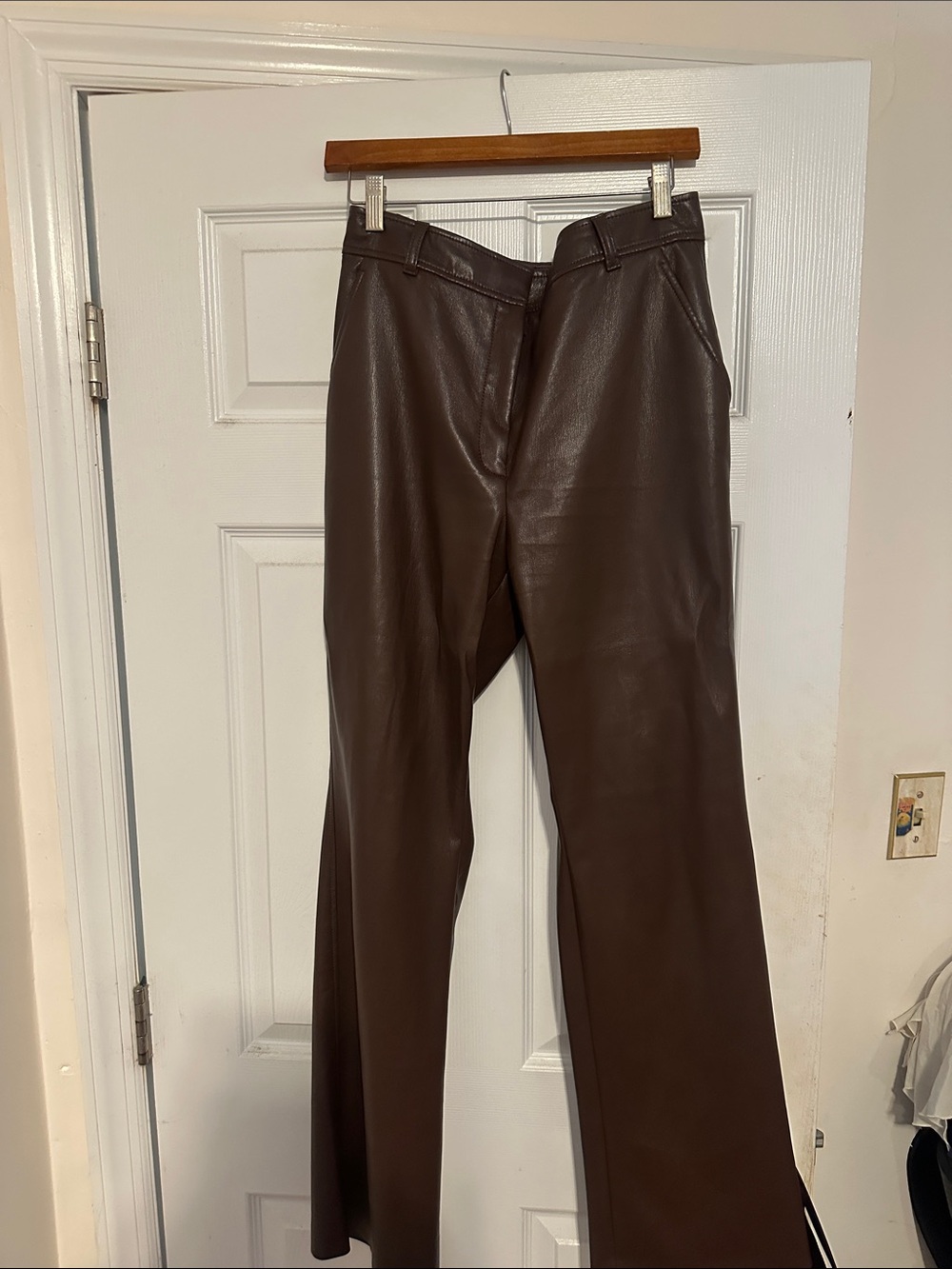 Aritzia Babaton Leather Pants